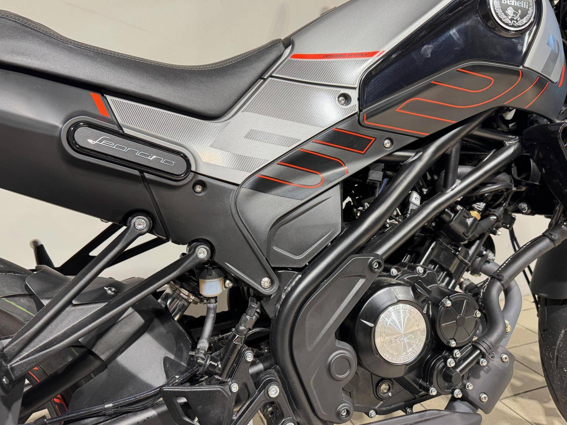 BENELLI Leoncino